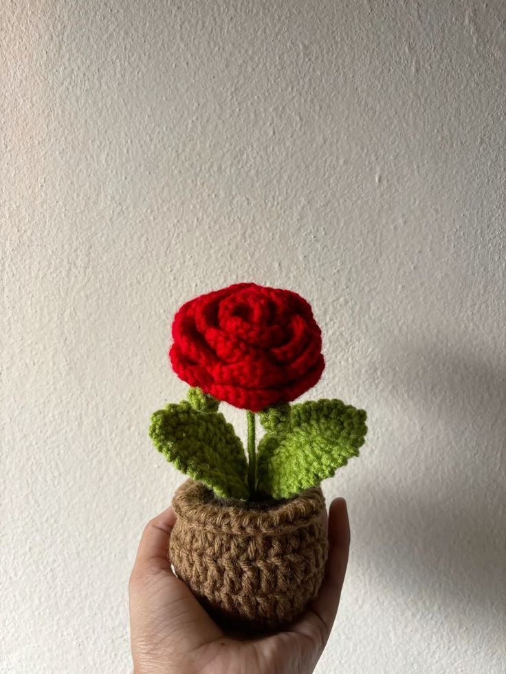 Rose flower pot