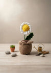 Pocket Daisy Handmade Crochet Flower in Mini Pot